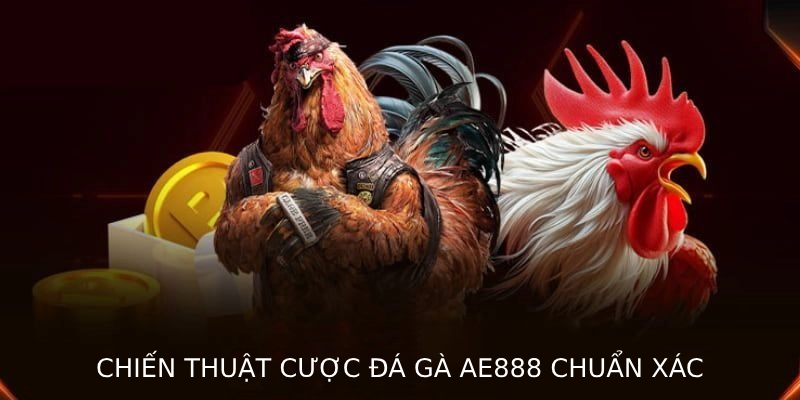 Chiến thuật cược đá gà AE888 chuẩn xác