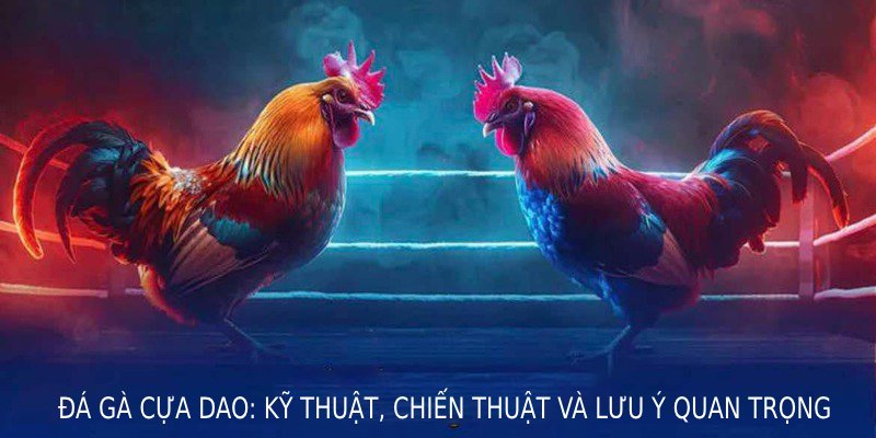 đá gà cựa dao