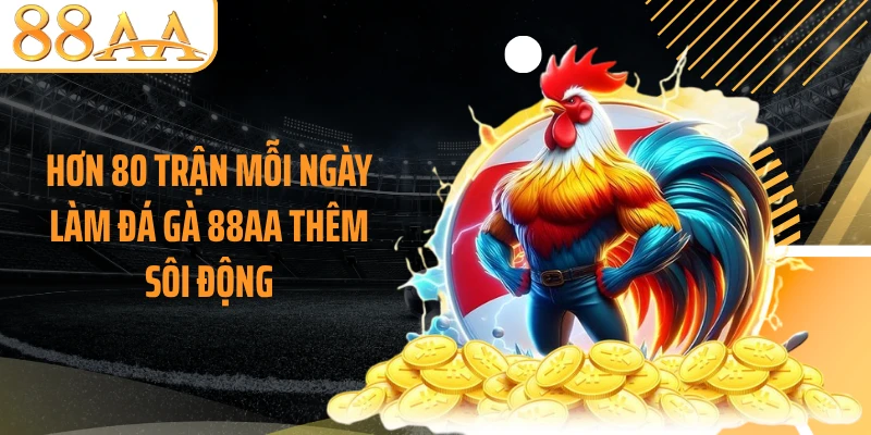 Hơn 80 trận mỗi ngày làm đá gà 88AA thêm sôi động