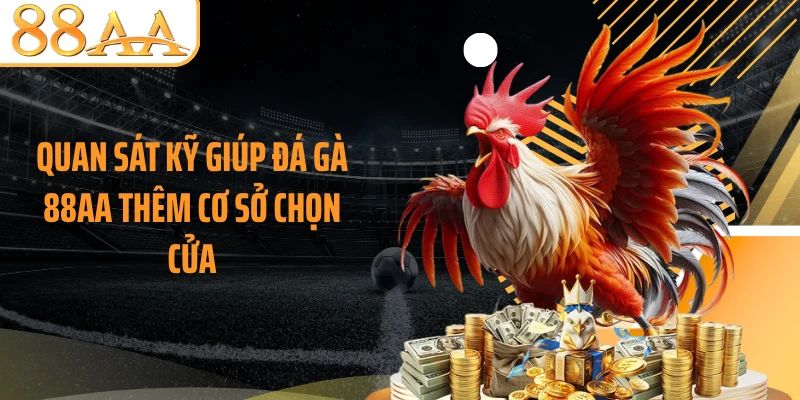 Quan sát kỹ giúp đá gà 88AA thêm cơ sở chọn cửa